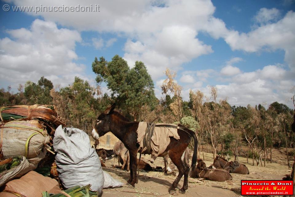 Ethiopia - Mercato lungo la strada per il sud - 07.jpg